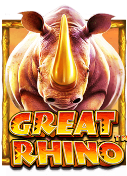 rb88 สมัคร สมาชิก ใหม่ ฟรี เดิมพัน ทันที รับโบนัสพิเศษ